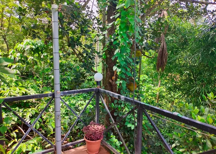 Golden Cypress Resort With Pool -Wayanad