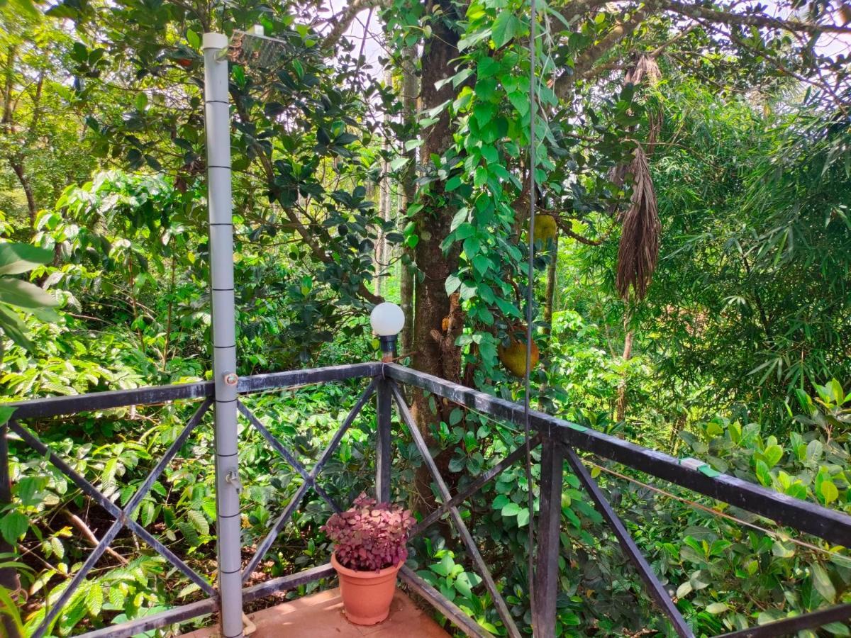 Homestay Golden Cypress With Pool -wayanad Padinjarathara
