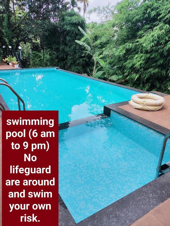 Golden Cypress With Pool -wayanad Padinjarathara